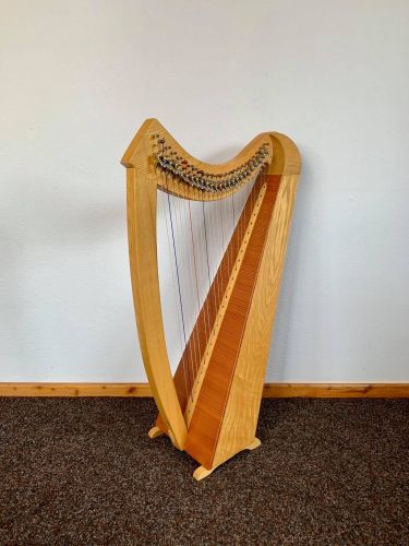 Salvi on sale egan harp